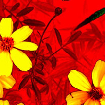 手机号测压在线平台